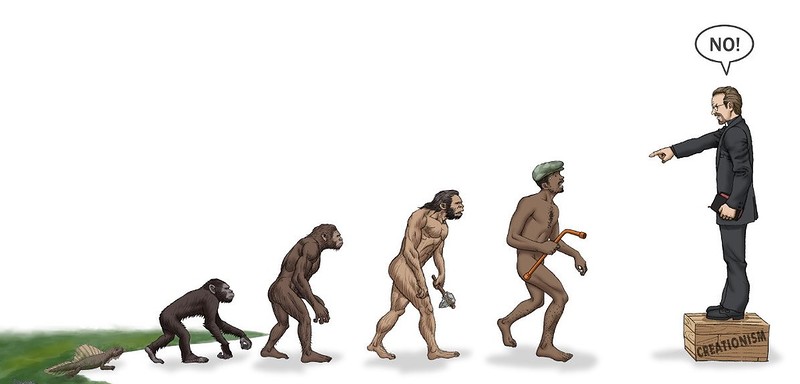 karikaturyi-gipotezyi-evolyutsii