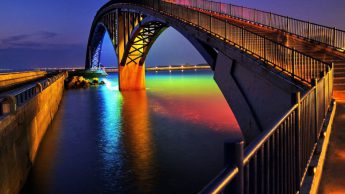 IMG_256
