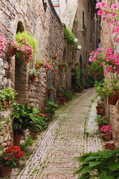 Улица в деревне Живерни (Giverny), Франция
