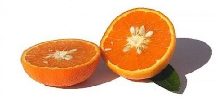 Результат скрещивания танжерина и сладкого апельсина.