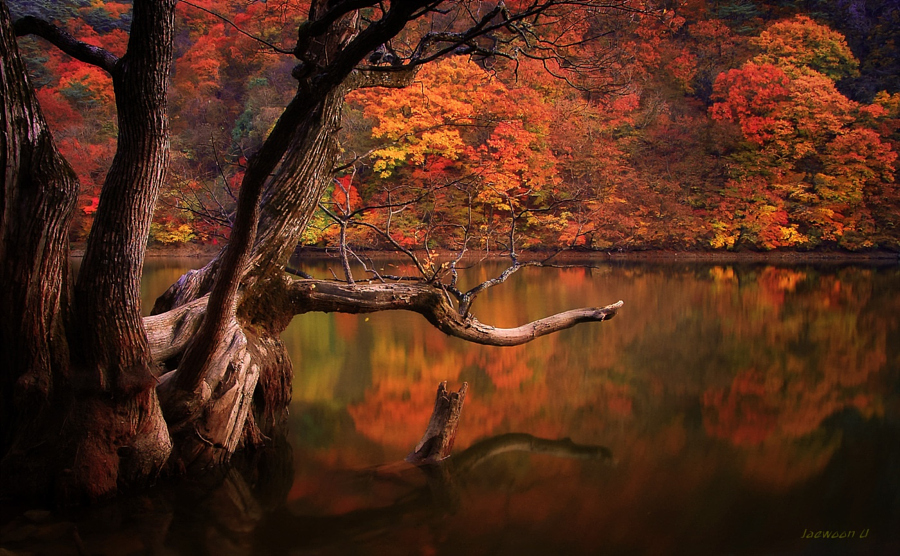 Осеннее озеро. Пейзажные фотографии с отражением